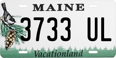 ME license plate 3733UL