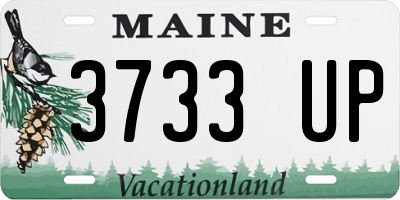 ME license plate 3733UP