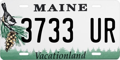 ME license plate 3733UR