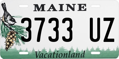 ME license plate 3733UZ