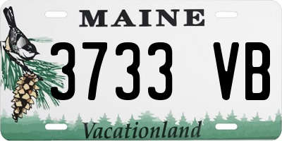 ME license plate 3733VB