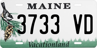 ME license plate 3733VD