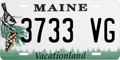 ME license plate 3733VG