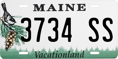 ME license plate 3734SS