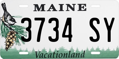 ME license plate 3734SY