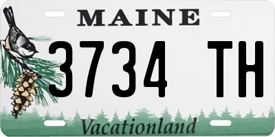 ME license plate 3734TH