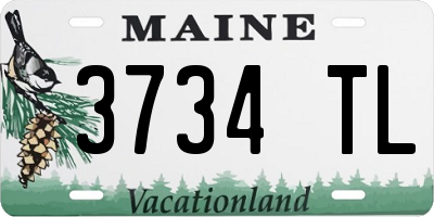 ME license plate 3734TL