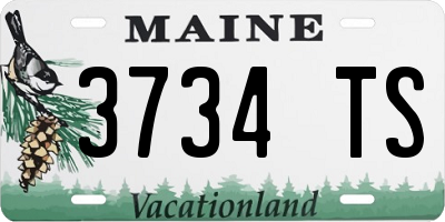 ME license plate 3734TS