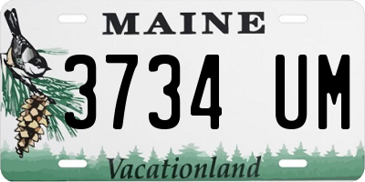 ME license plate 3734UM