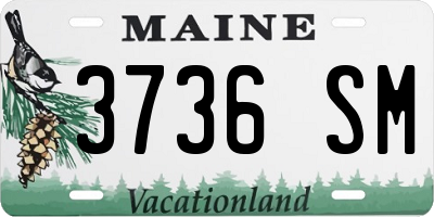 ME license plate 3736SM