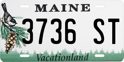 ME license plate 3736ST