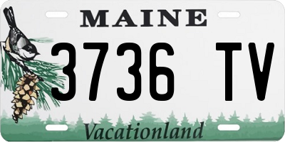 ME license plate 3736TV