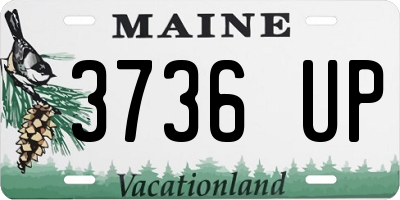 ME license plate 3736UP