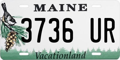 ME license plate 3736UR