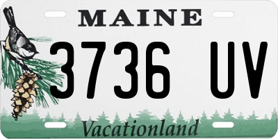 ME license plate 3736UV