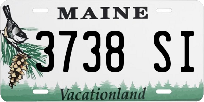 ME license plate 3738SI