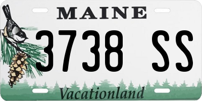 ME license plate 3738SS
