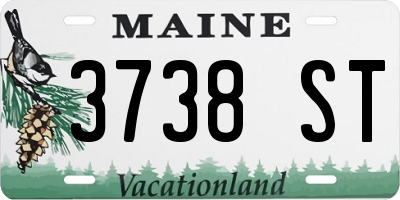 ME license plate 3738ST