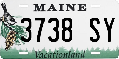 ME license plate 3738SY