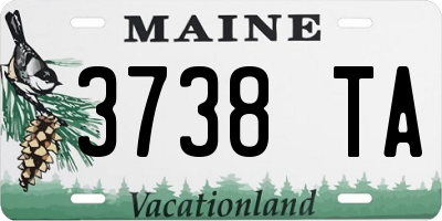 ME license plate 3738TA