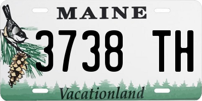 ME license plate 3738TH