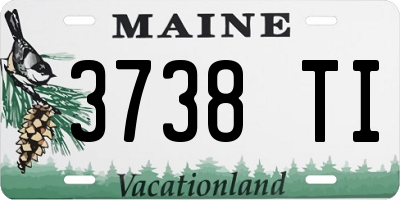 ME license plate 3738TI