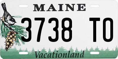 ME license plate 3738TO