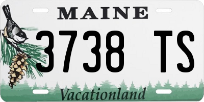 ME license plate 3738TS
