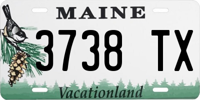 ME license plate 3738TX