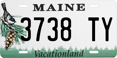 ME license plate 3738TY