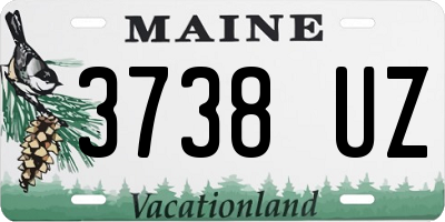 ME license plate 3738UZ