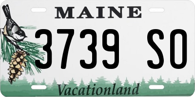 ME license plate 3739SO