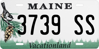 ME license plate 3739SS
