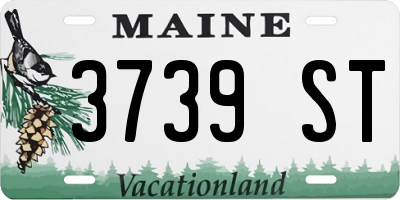 ME license plate 3739ST