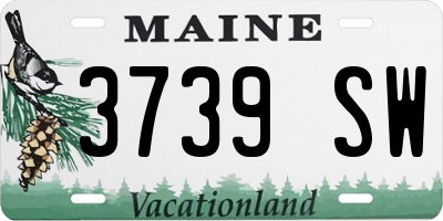 ME license plate 3739SW
