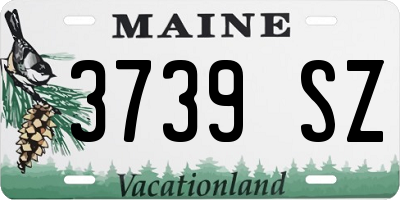 ME license plate 3739SZ