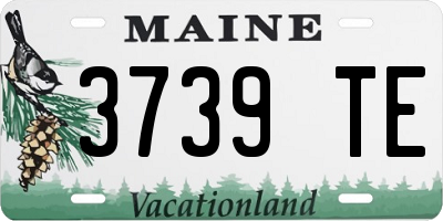 ME license plate 3739TE