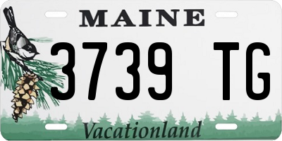 ME license plate 3739TG