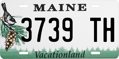 ME license plate 3739TH
