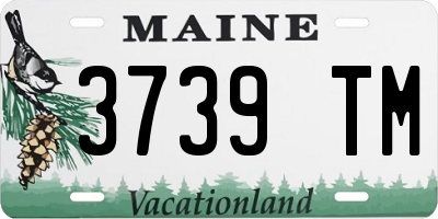 ME license plate 3739TM