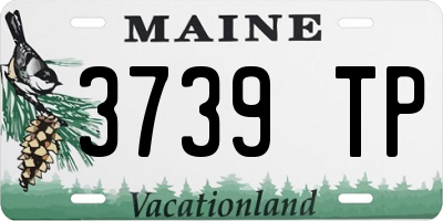 ME license plate 3739TP