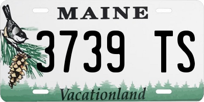 ME license plate 3739TS