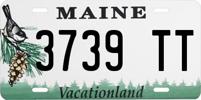 ME license plate 3739TT