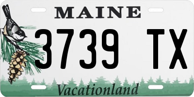 ME license plate 3739TX