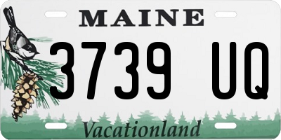 ME license plate 3739UQ