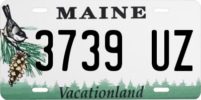 ME license plate 3739UZ