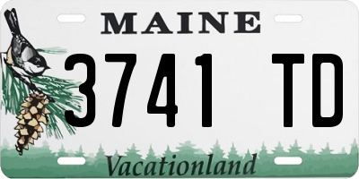 ME license plate 3741TD