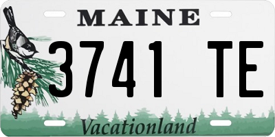 ME license plate 3741TE