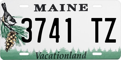 ME license plate 3741TZ
