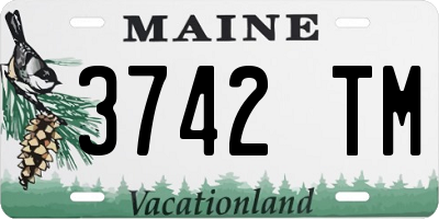 ME license plate 3742TM